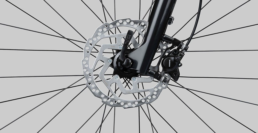 Scart Light 9.0 Lady - Image 6